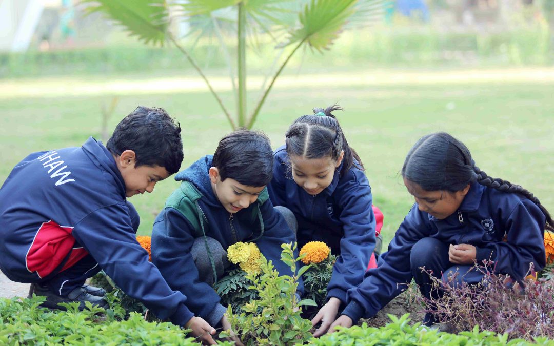 Value-based education at Homerton Grammar School: Building character along with academics