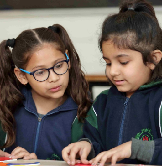 Good schools in faridabad